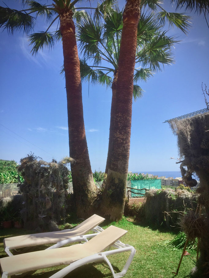 Casa Cardon La Palma